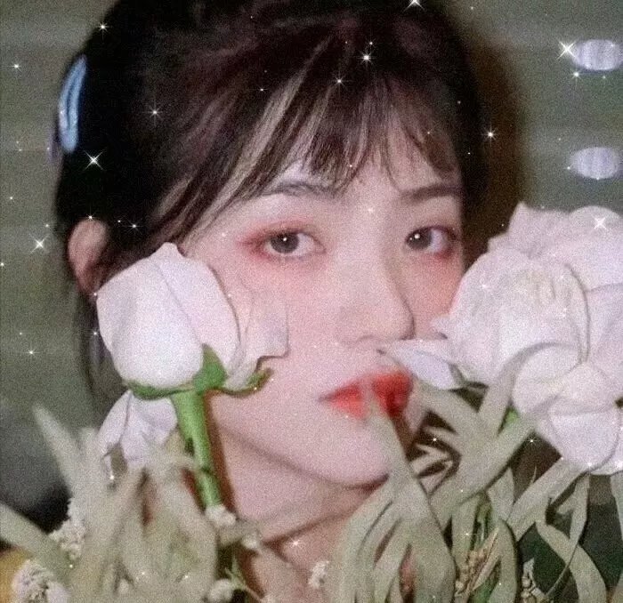 百花缭乱 武士新娘 特典